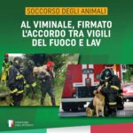 Immagine1