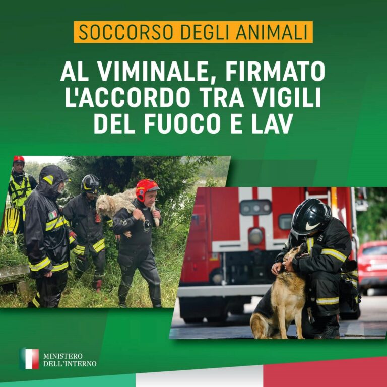 Immagine1