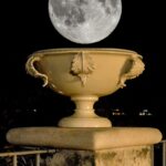 Immagine5-Copia
