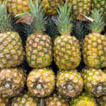 Pineapples-FP-img_0012
