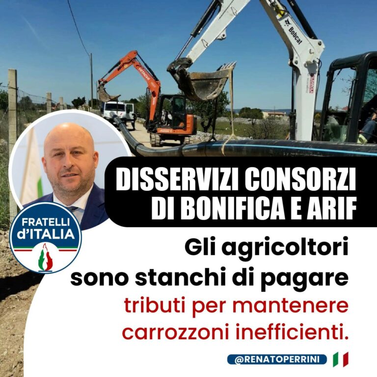 Immagine1