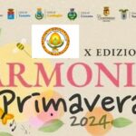 Immagine5