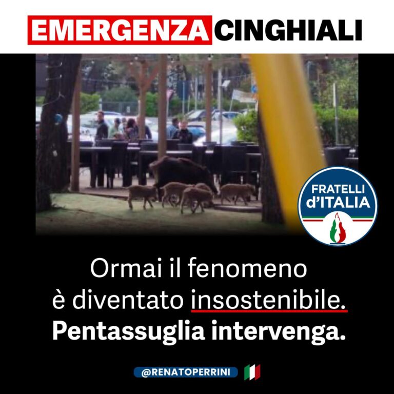 cinghiali