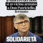 1 PATRICELLO