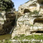 RIGGIO