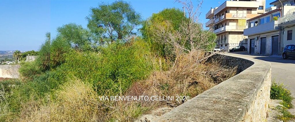 via Benvenuto cellini grottaglie